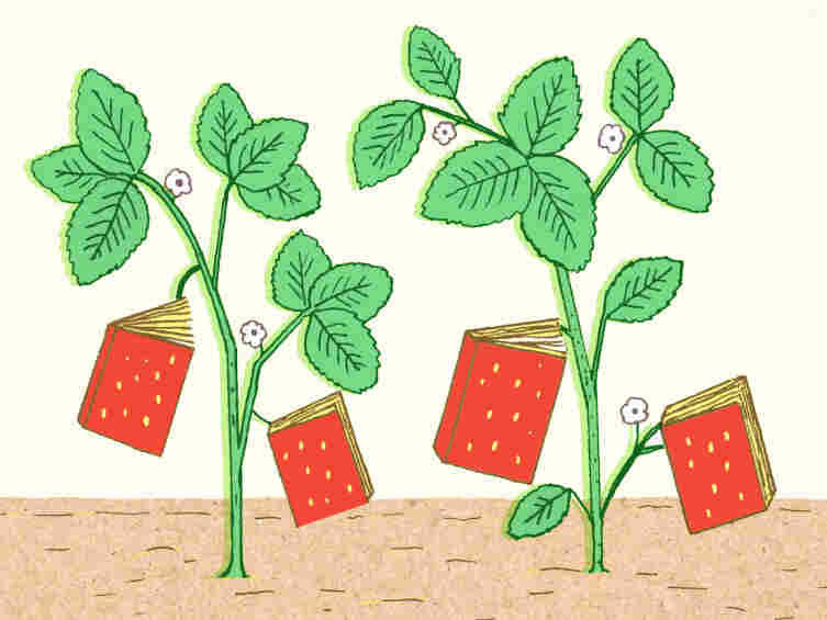 Illustration: Strawberries shaped like books grow in a garden.