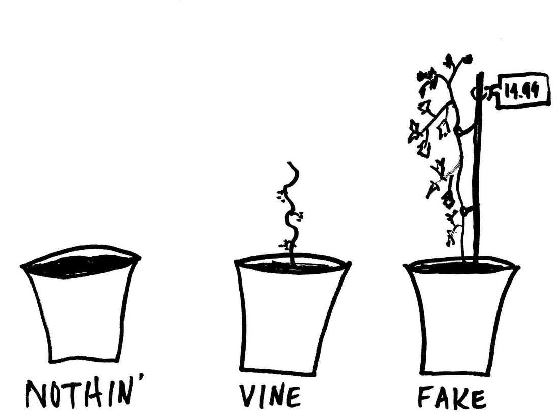 Can Plants Smell Other Plants? Apparently They Can Krulwich Wonders