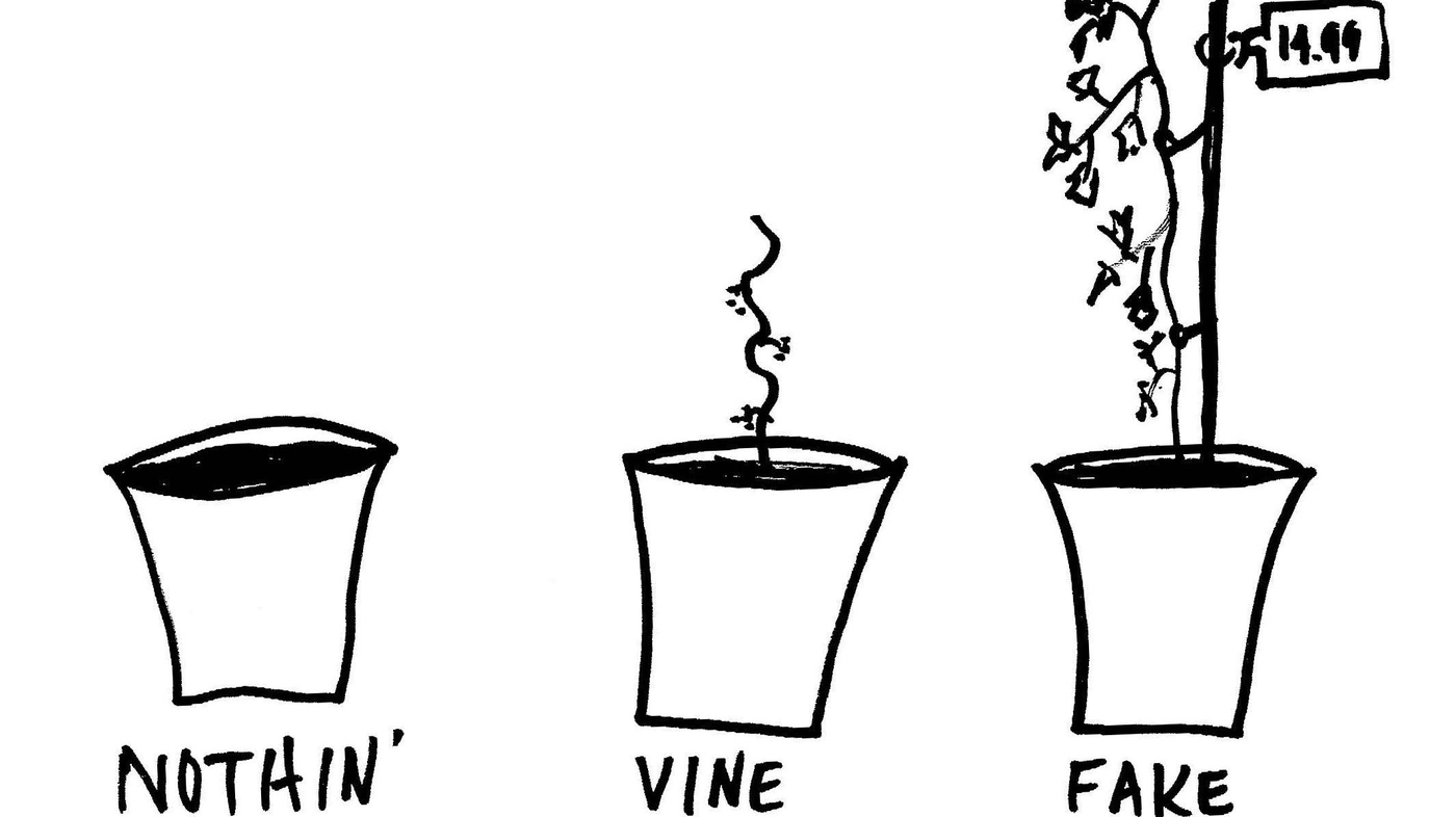 Can Plants Smell Other Plants? Apparently They Can Krulwich Wonders