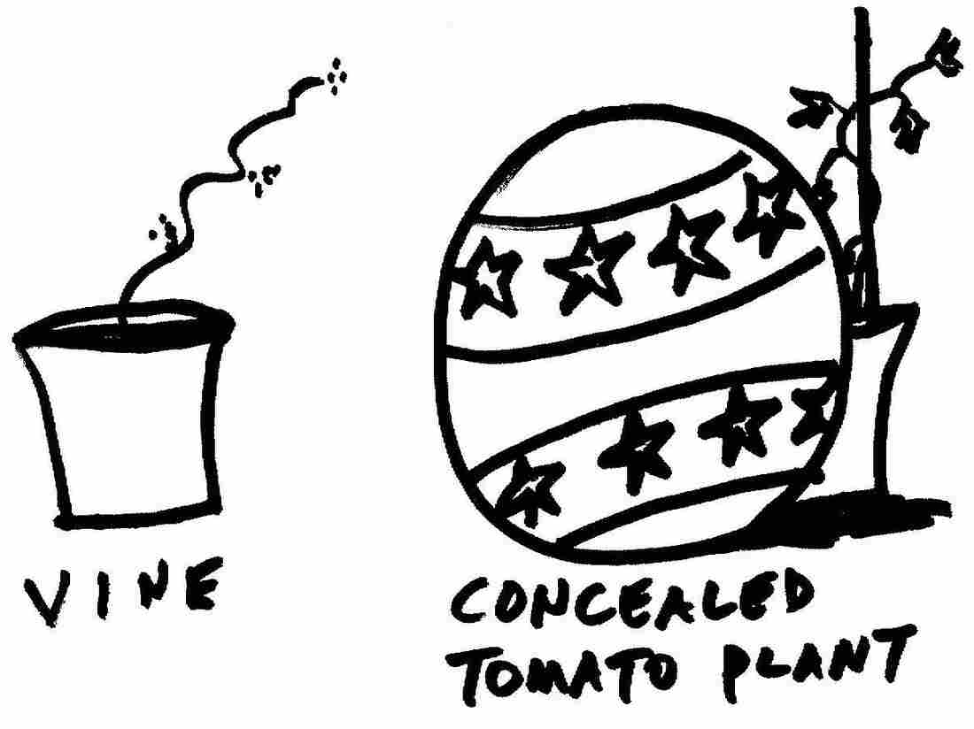Plant 2c