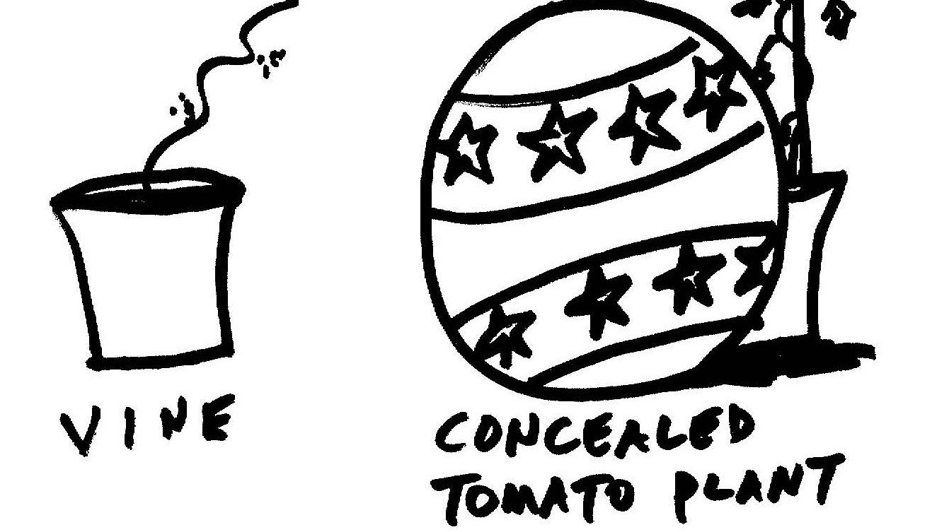 Can Plants Smell Other Plants? Apparently They Can Krulwich Wonders