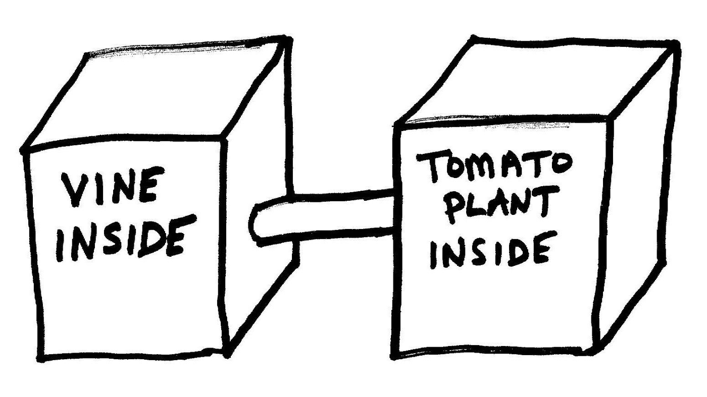 Can Plants Smell Other Plants? Apparently They Can Krulwich Wonders