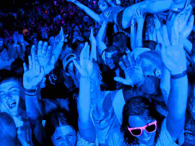 crowd dancing at the detroit electronic music festival