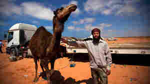 Libyan Menu Prompts The Question: Camel, Anyone?