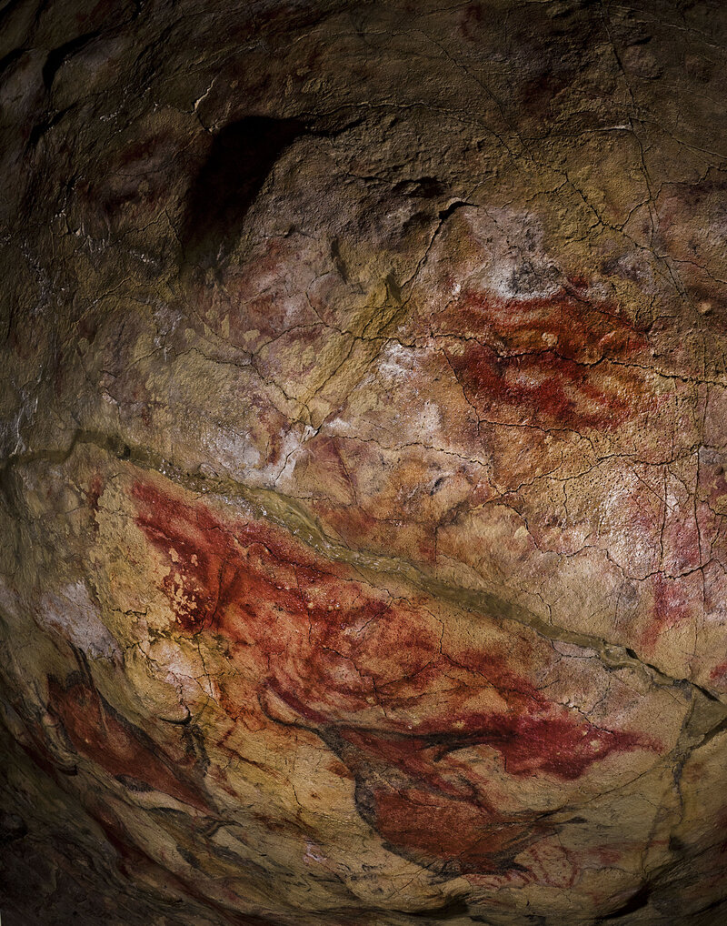 Famous Cave Paintings Might Not Be From Humans Npr