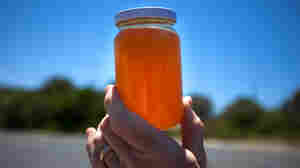 Local Libyan Honey Is Sweet, But Is It Good For What Ails Us?