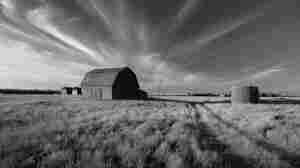 No Longer A Southern Writer, Ford Goes To 'Canada'