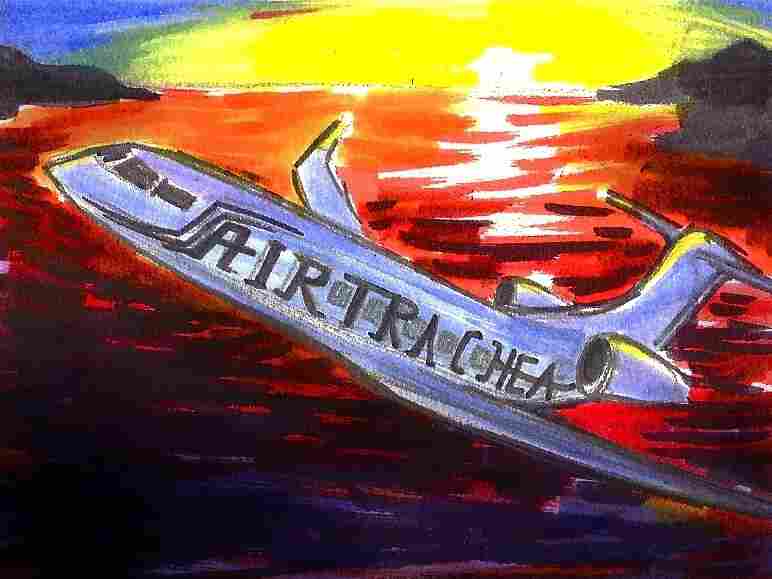 Private jet rushes organs to emergency patient.