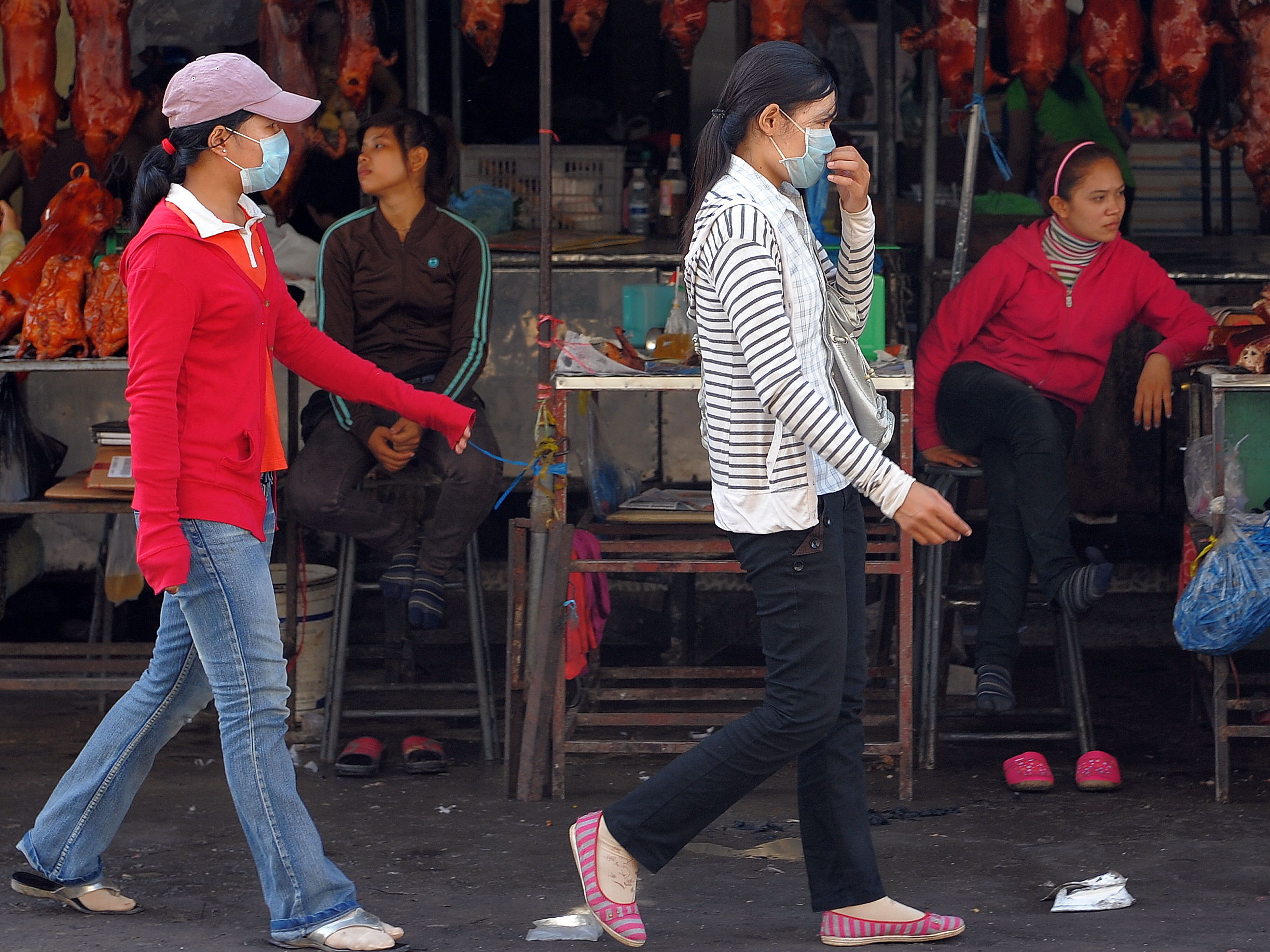 Swine Flu May Have Killed Far More People Than Thought