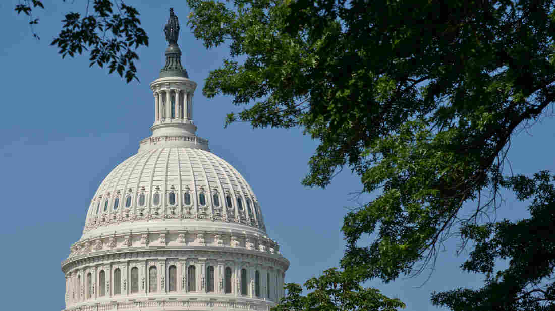 The dome of the U.S. Capitol.