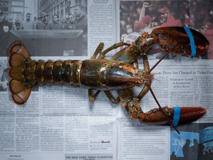 If you had to choose one meal for a day, would it be a lobster or two pomegranates? Photographer Stefen Chow explores this hypothetical question in his project 'The Poverty Line.' (Courtesy of Stefen Chow)
