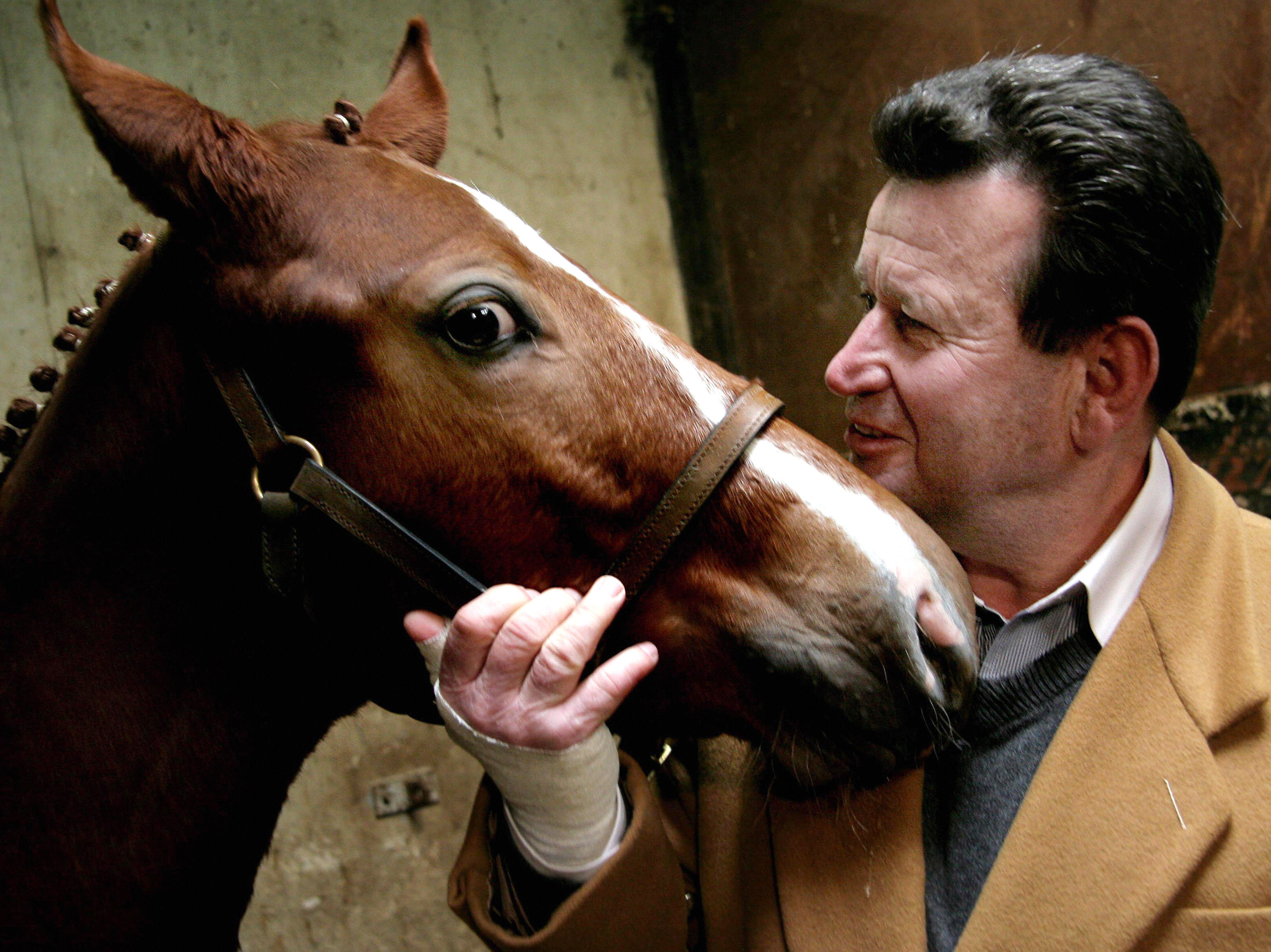 Equestrian Group Clears Way For Cloned Horses To Compete In The Olympics