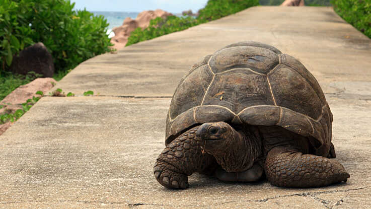 How Slow Can You Go? 