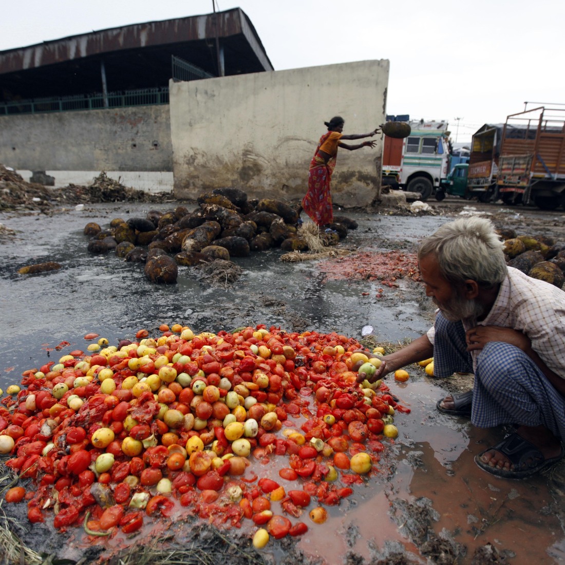 Got Leftovers To Share? In Germany, There's A site For That The