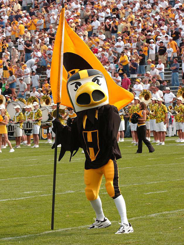 Heart Of A Hawk In Iowa City, Iowa WBUR News