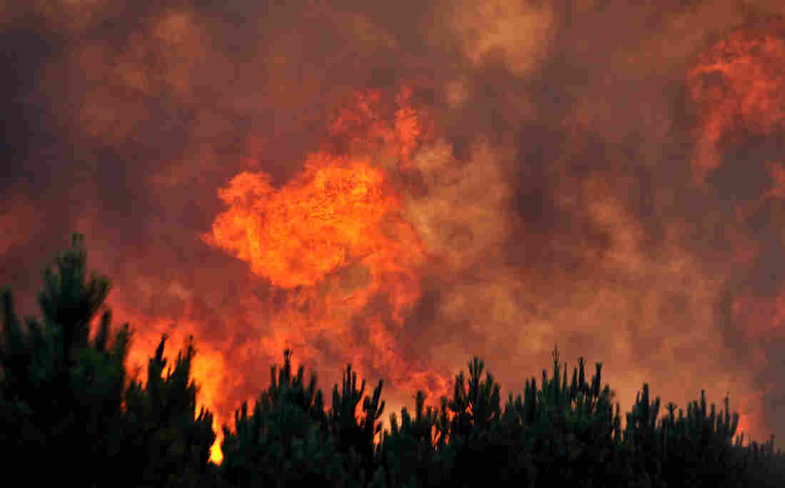 An August 2012 forest fire near the French resort of Lacanau on the country's Atlantic coast.
