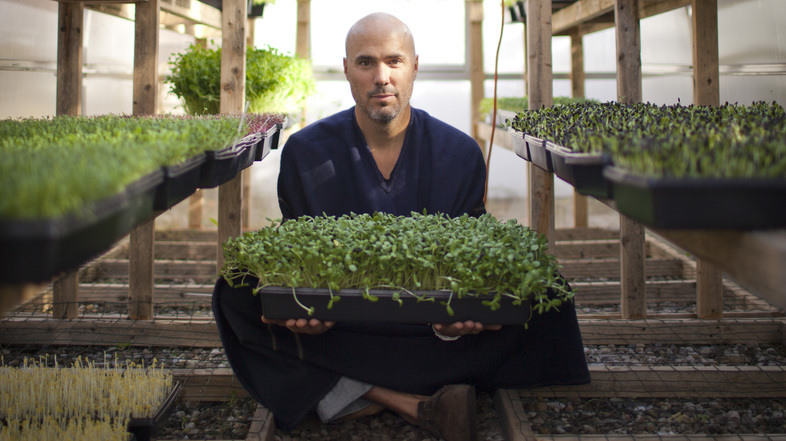 Brendan Davison grows 11 kinds of microgreens, including arugula and basil, at his Good Water Farms in East Hampton, N.Y. (Lindsay Morris)