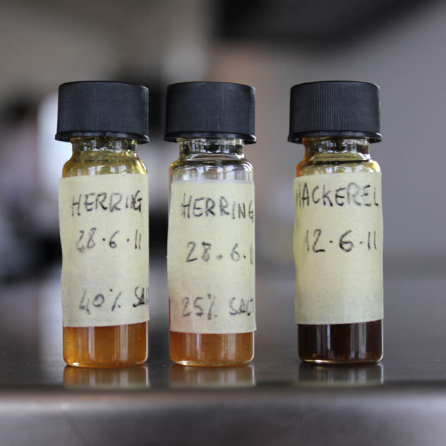 Icelandic Herring Had A Tough Winter, But There's Still Herring Ice