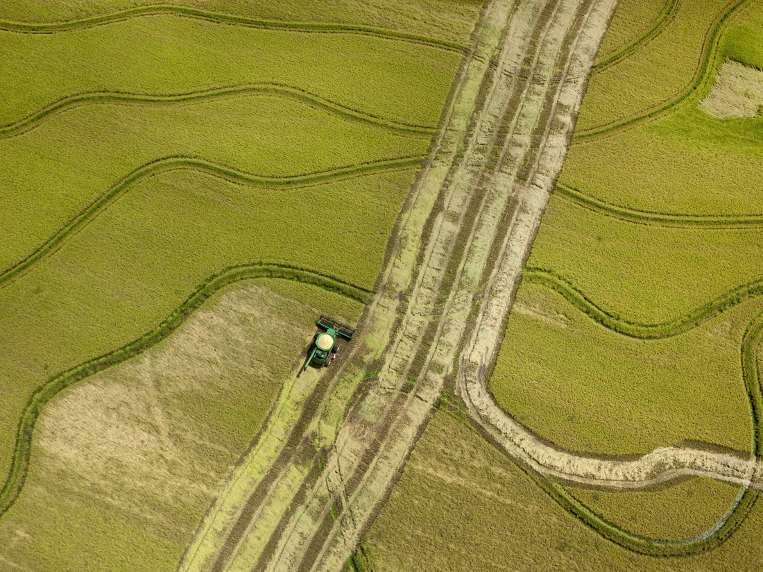 FDA Weighs Federal Standard To Limit Exposure To Arsenic In Rice The