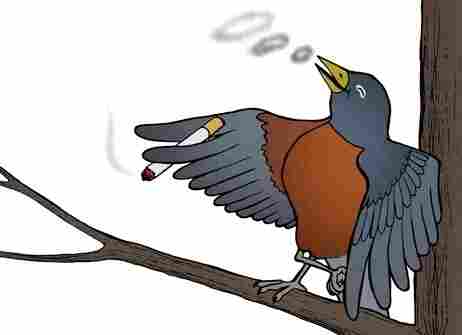 Bird smoking a cigarette.