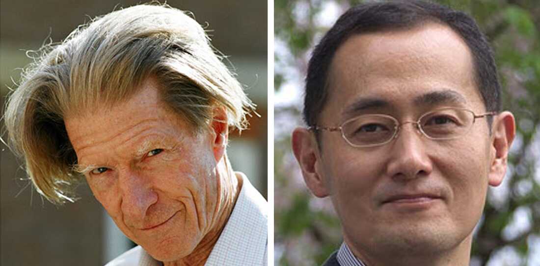 Nobel Winners Made Stem Cells From Skin And Gut : Shots - Health News : NPR