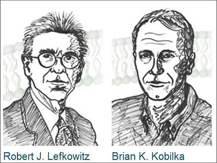 This year's winners of the Chemistry Nobel: Robert Lefkowitz (left) and Brian Kobilka. (NobelPrize.org)