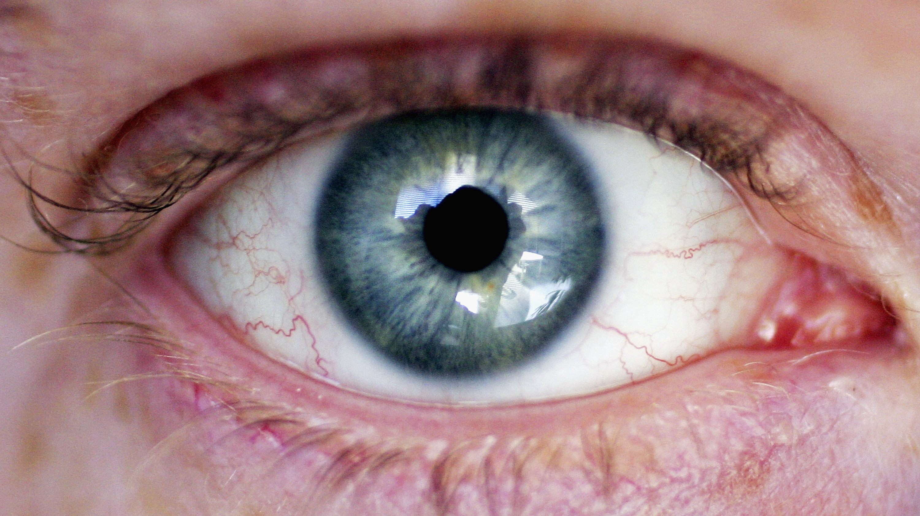 Mind And Life In The Cosmos : 13.7: Cosmos And Culture : NPR