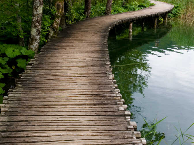 walking path
