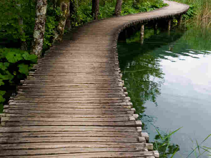 walking path