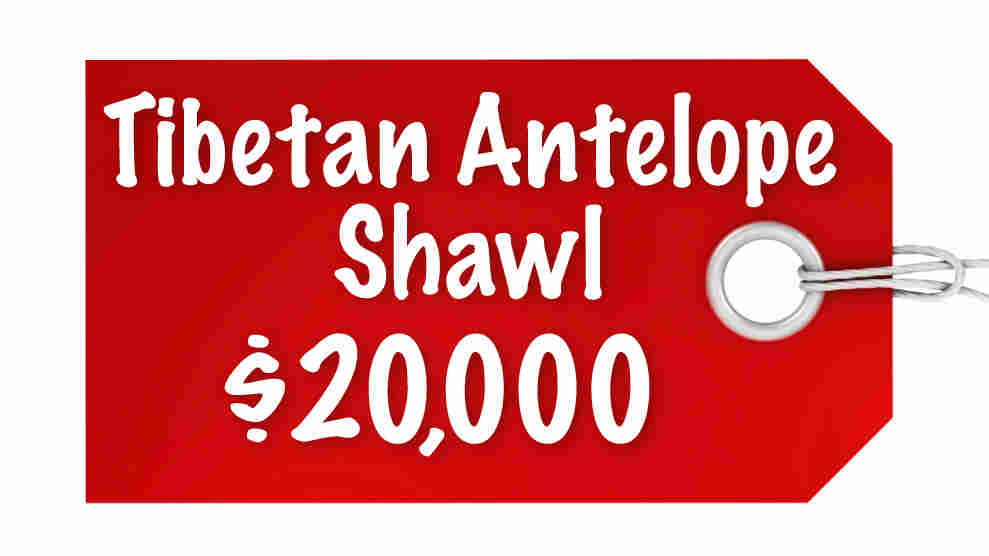 Tibetan Antelope Shawl $20,000