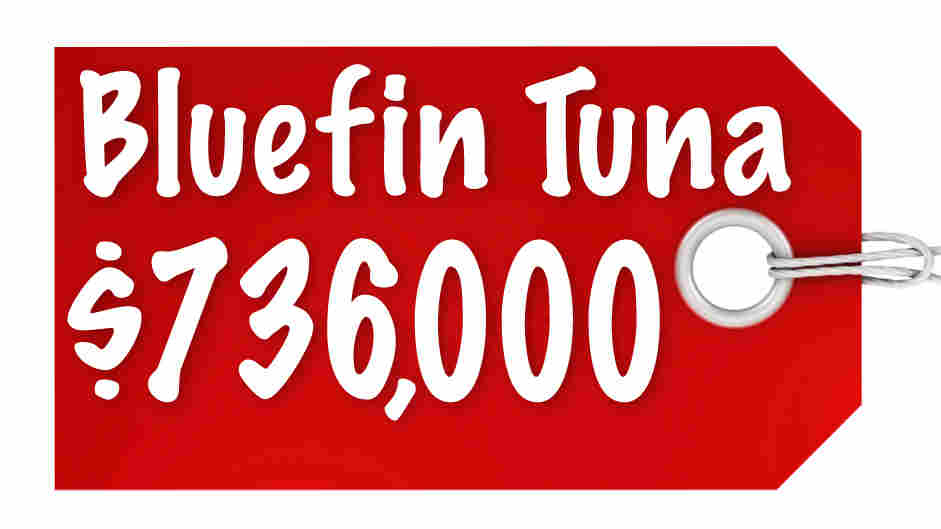 Bluefin Tuna $736,000