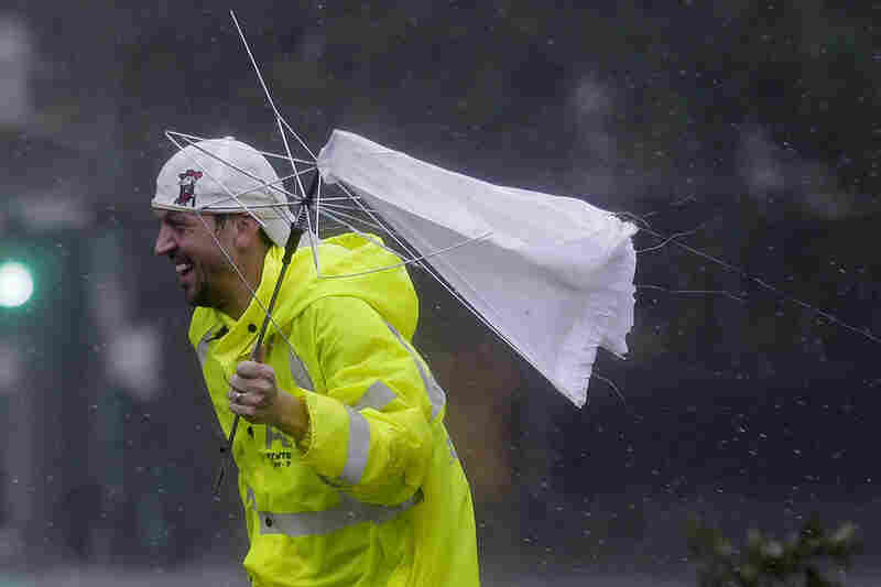 Inside Out Umbrellas Gone Wild The Picture Show NPR