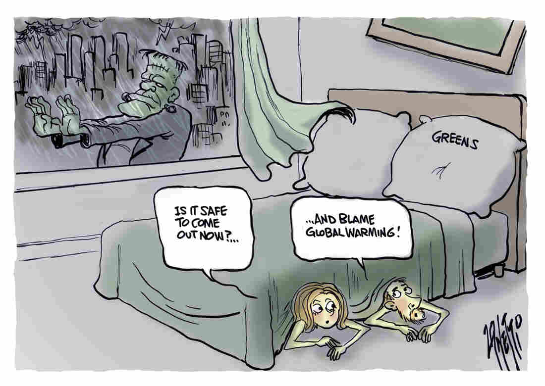 politicalcartoons.com