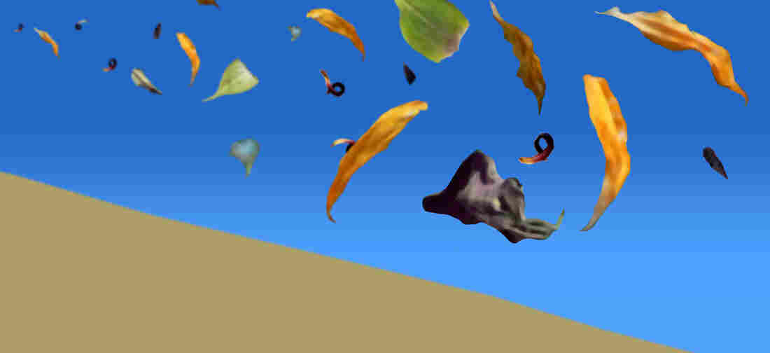 Leaves blowing over a dune.