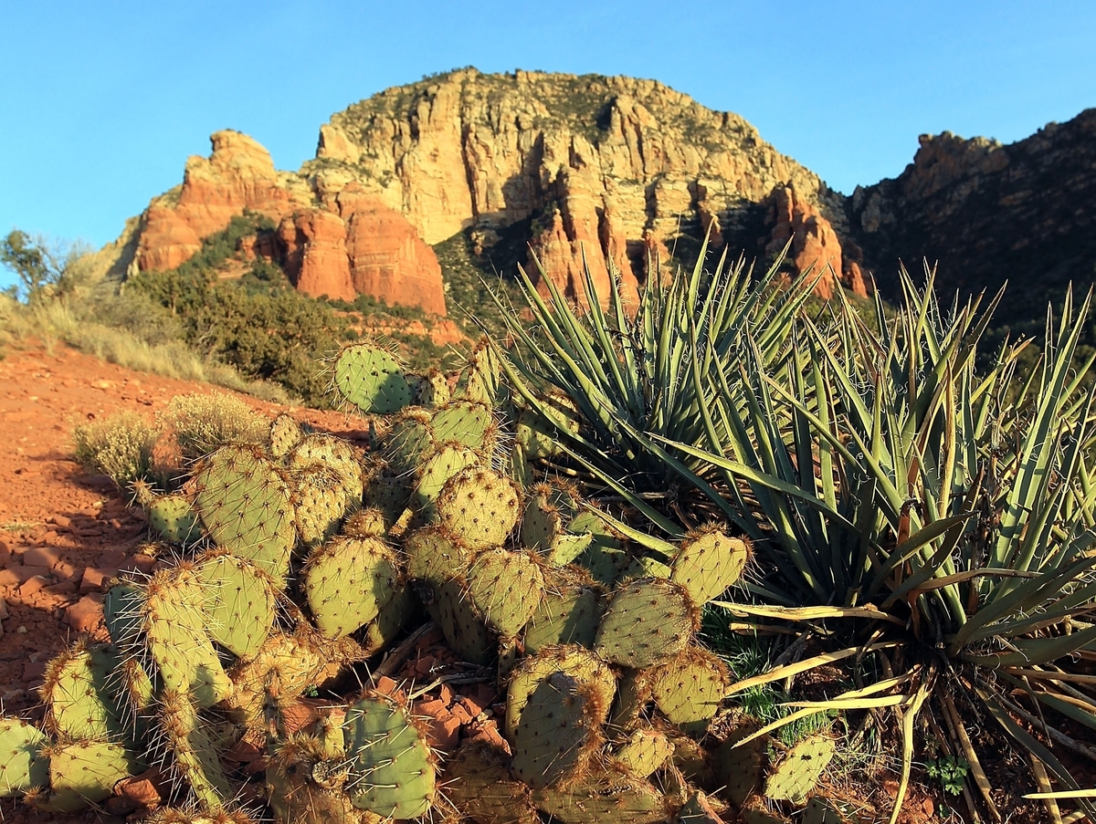 Aldous Huxley and Christopher Isherwood: Writing the a supposedly fun thing essay