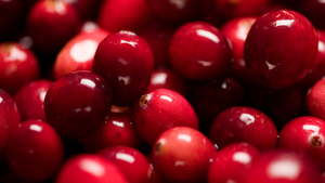 Susan Stamberg's Cranberry Relish Tradition : NPR