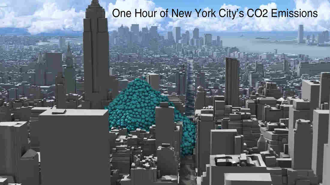 One Hour Of NYC's Carbon Dioxide Emissions