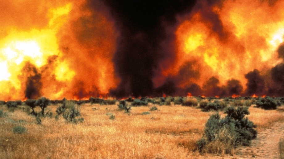 In Arid West, Cheatgrass Turns Fires Into Infernos NPR
