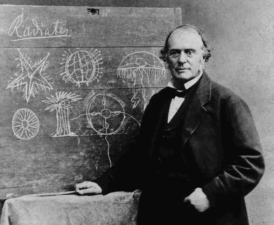 Louis Agassiz