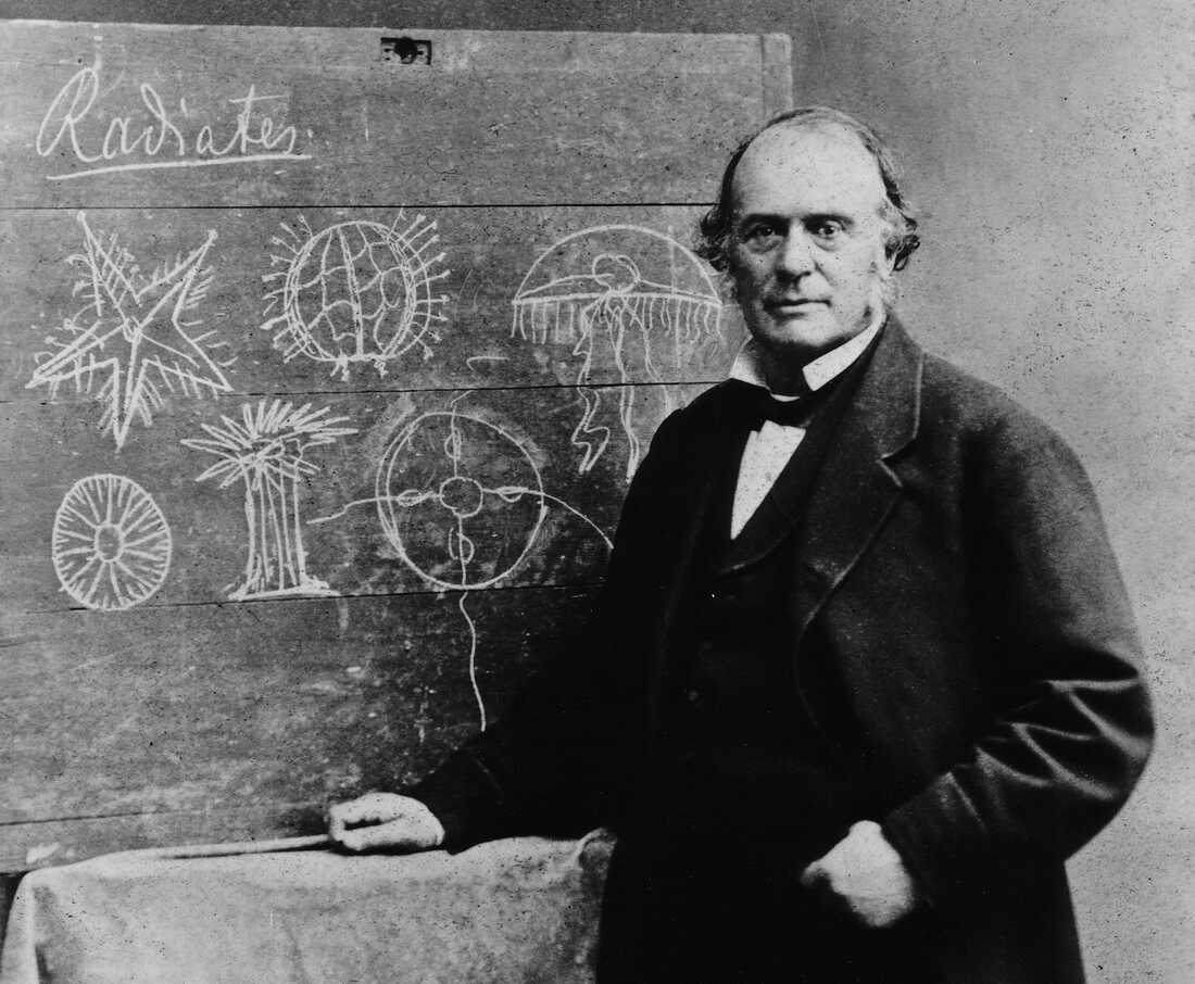 Louis Agassiz