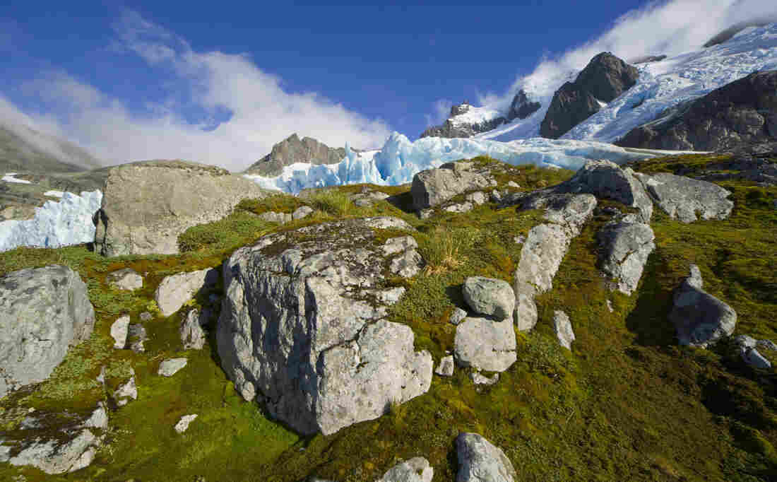South Sandwich Islands, Antarctica