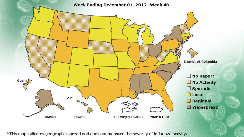The number of states experiencing widespread flu doubled in the past week. (CDC)