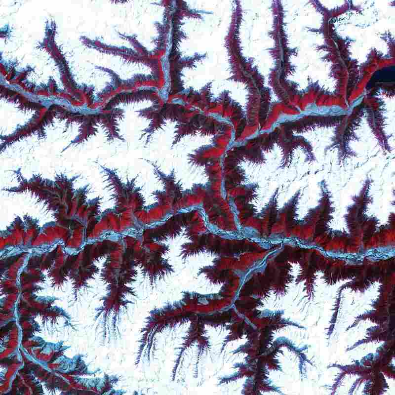 Himalayas, Central Asia, 2001The soaring, snow-capped peaks and ridges of the eastern Himalaya Mountains create an irregular patchwork between major rivers in Tibet and southwestern China. Covered by snow and glaciers, the mountains here rise to altitudes of more than 16,000 feet. Vegetation at lower elevations is colored red.