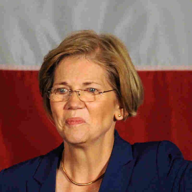 Sen.-elect Elizabeth Warren, D-Mass.