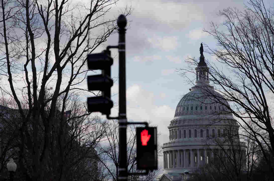 The Capitol Dome in Washington, D.C.