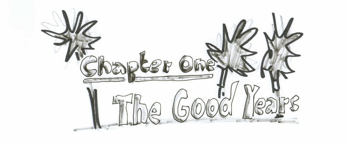 Chapter One: The Good Years