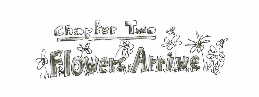 Chapter Two: Flowers Arrive
