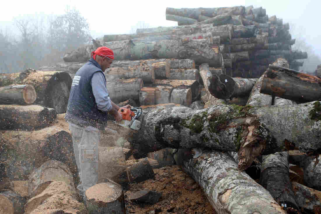 A worker cuts wood in a wood factory in Grevena, on January 2, 2013. Air pollution in cities of Greece has surged in recent days because of people choosing wood over more expensive fuels to heat their homes in the grips of a continuing economic crisis.