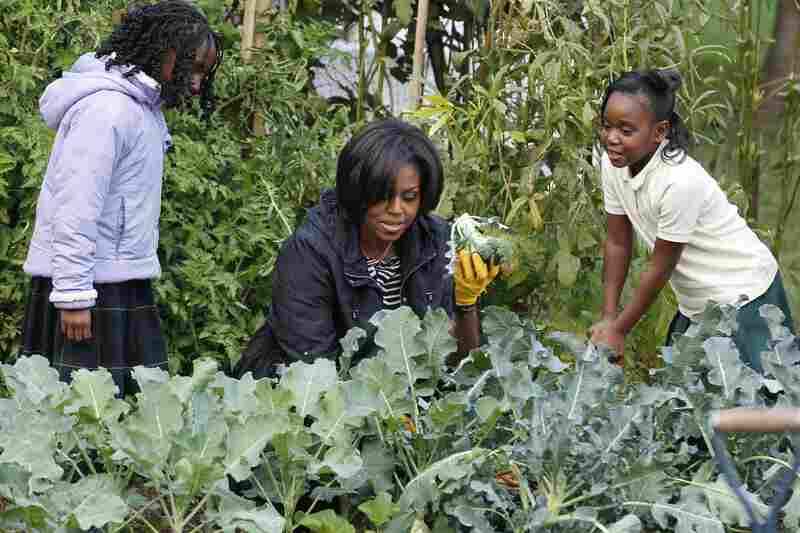 In the garden: Michelle holds up broccoli as she participates in the White House Kitchen Garden Fall Harvest with students on the South Lawn of the White House on Oct. 20, 2010.