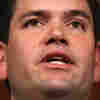 Rubio's Role In Immigration Plan Leaves Even Limbaugh Somewhat Speechless